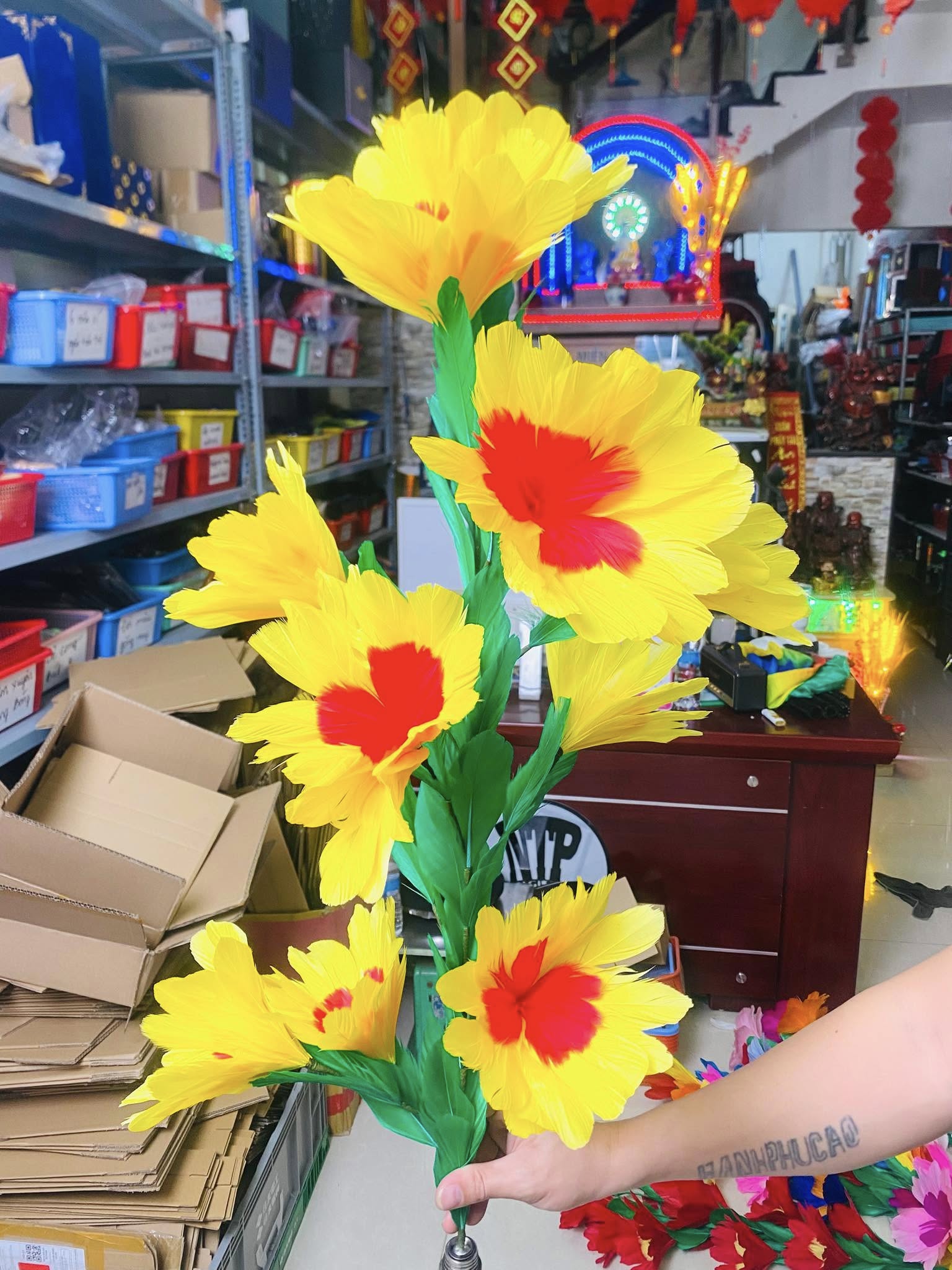 The Stick Shows 11 Big Flowers - ảnh 3