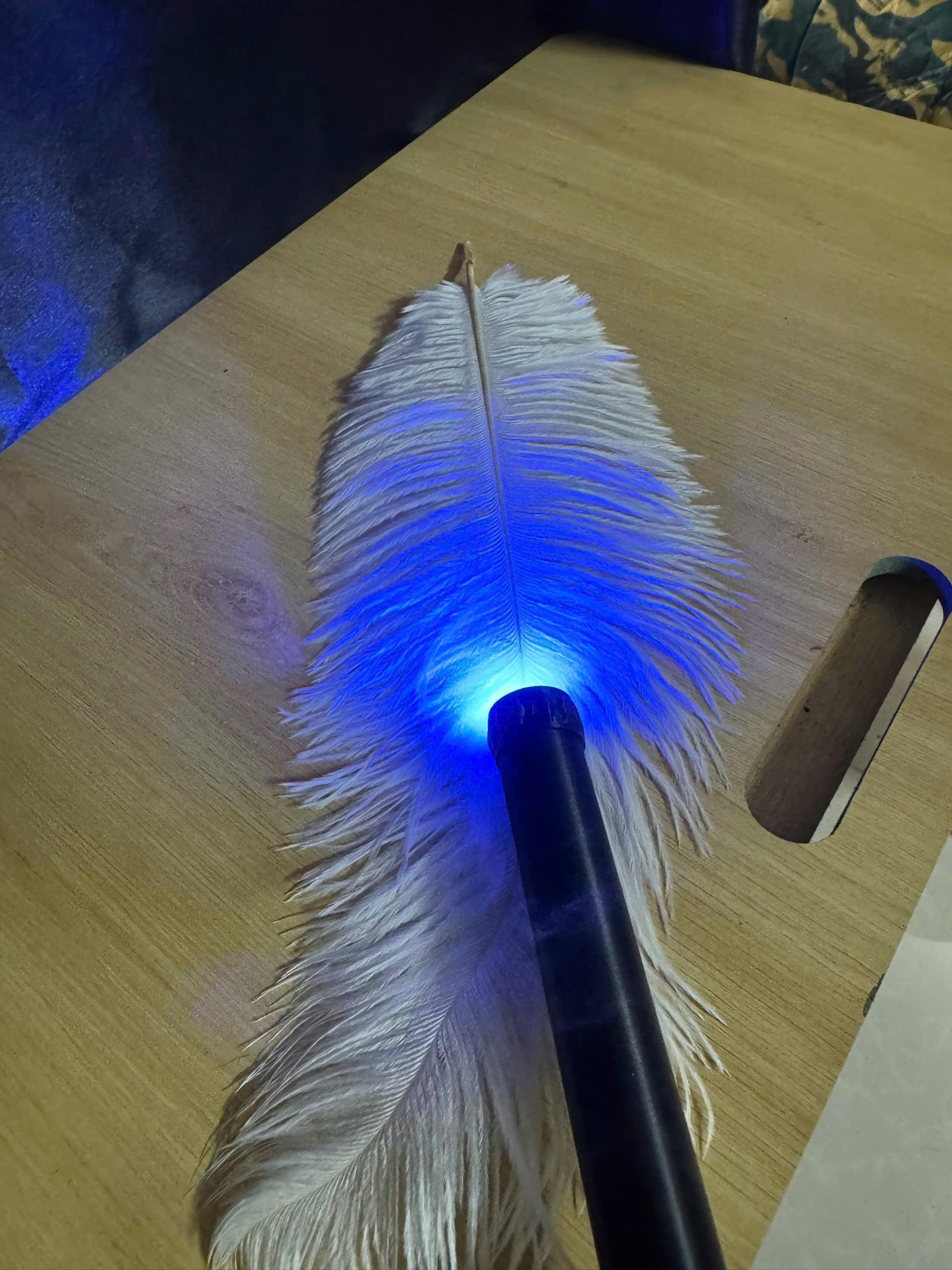 4-color smoke chopsticks turn into feathers - ảnh 6