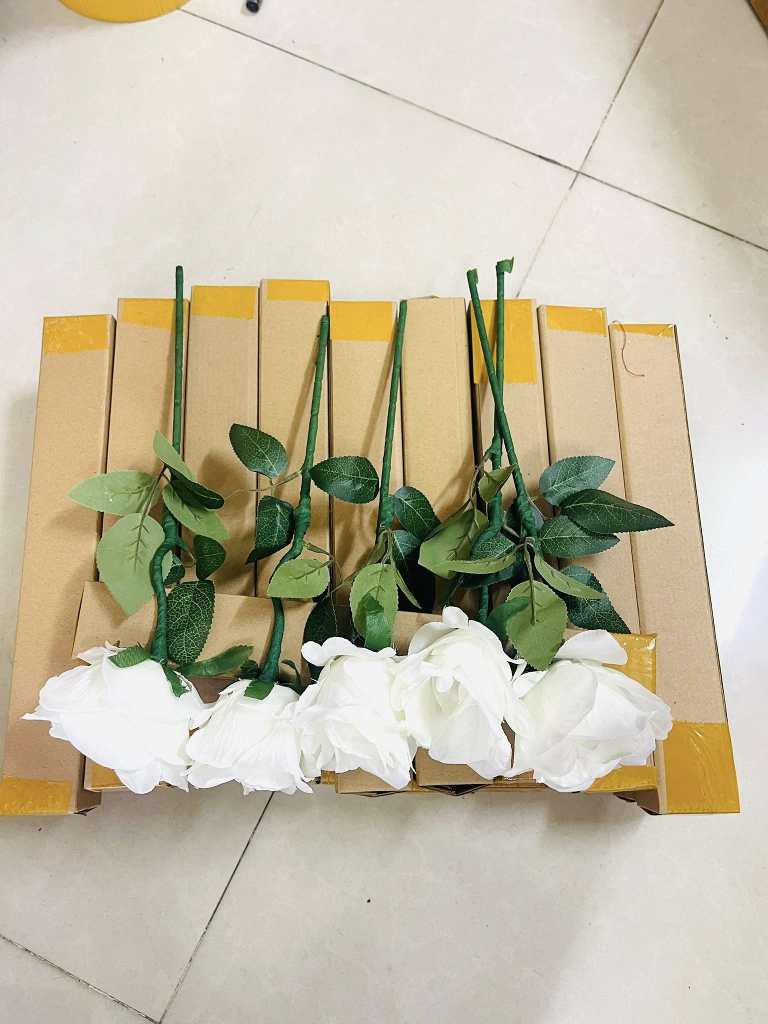 Three-colored rose - ảnh 3
