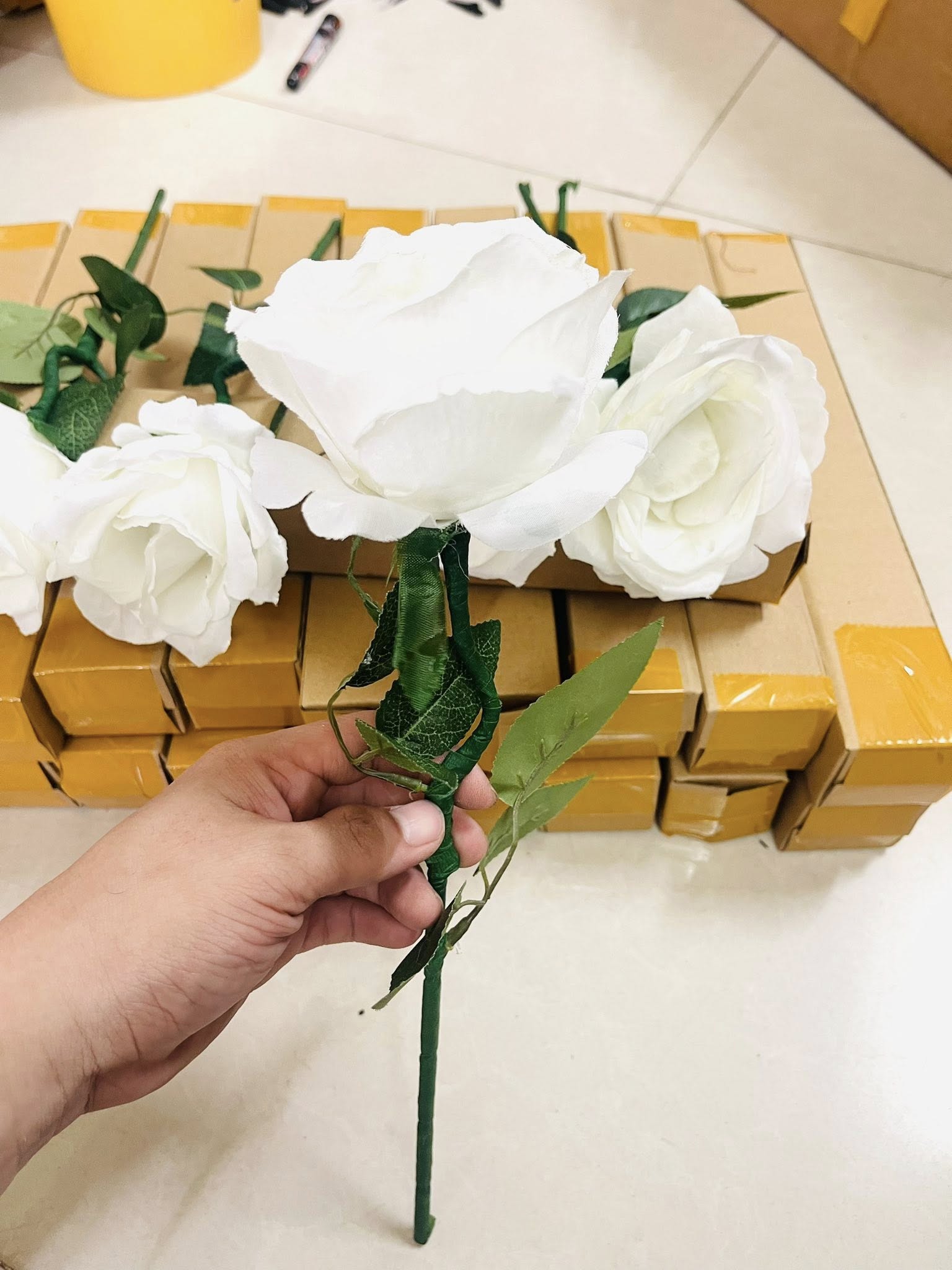 Three-colored rose - ảnh 4