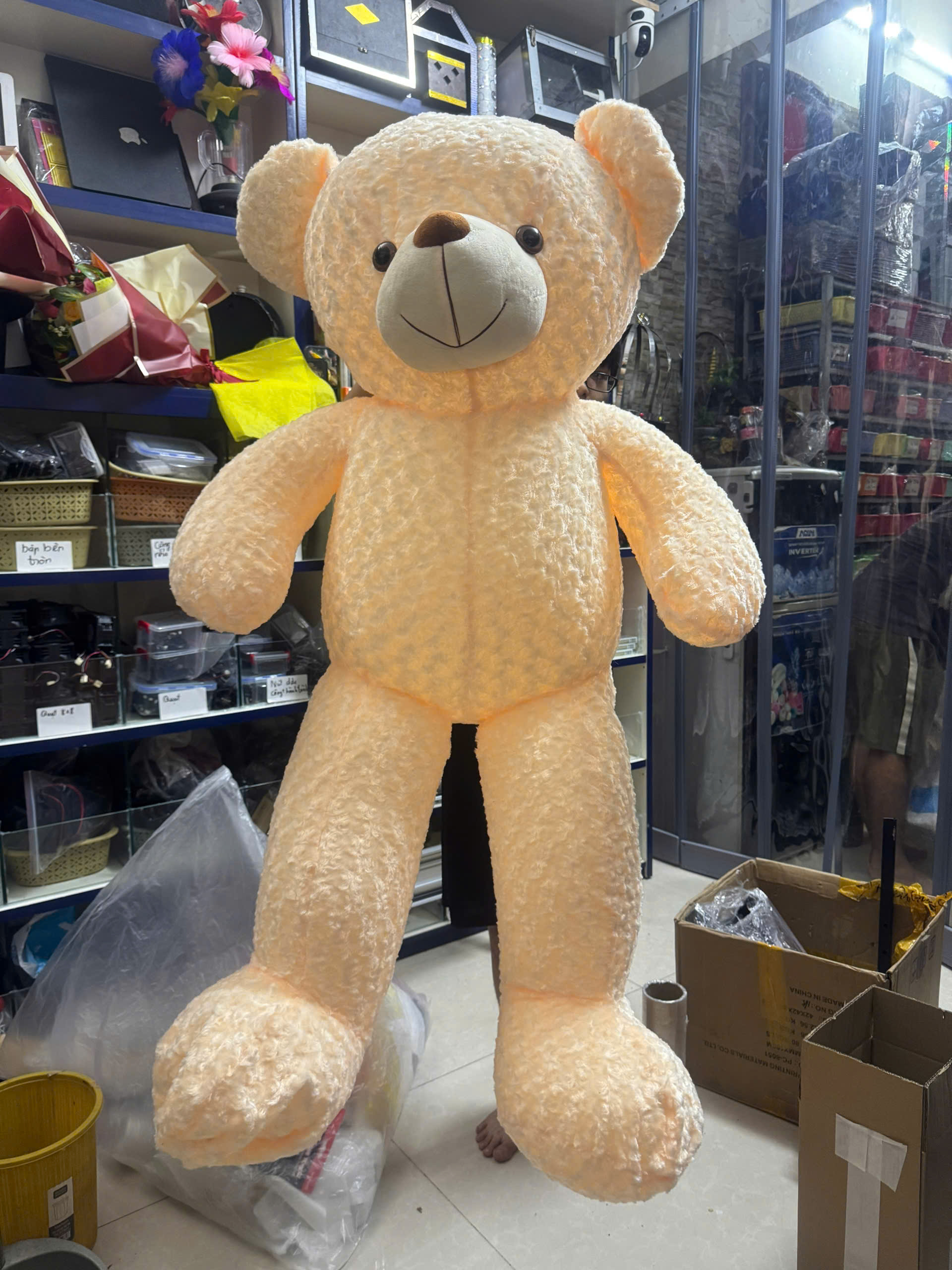 Bear 150cm - ảnh 3