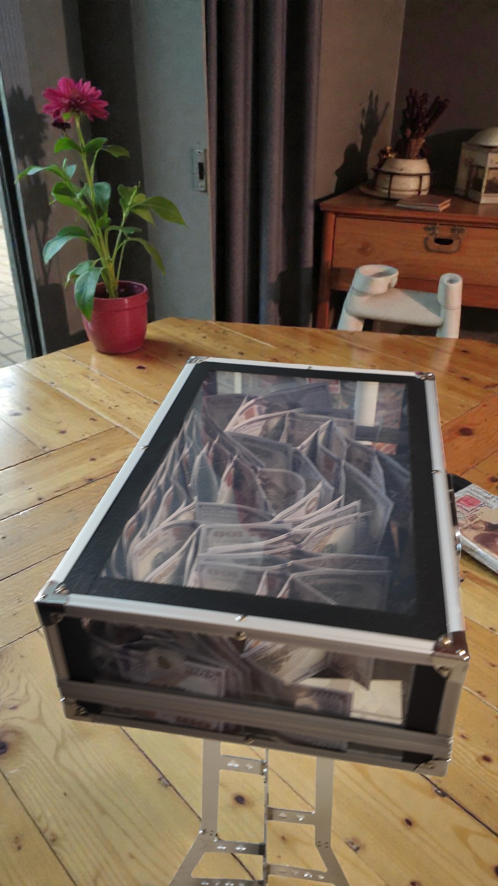 The Empty Suitcase Appears Full of Money - ảnh 3