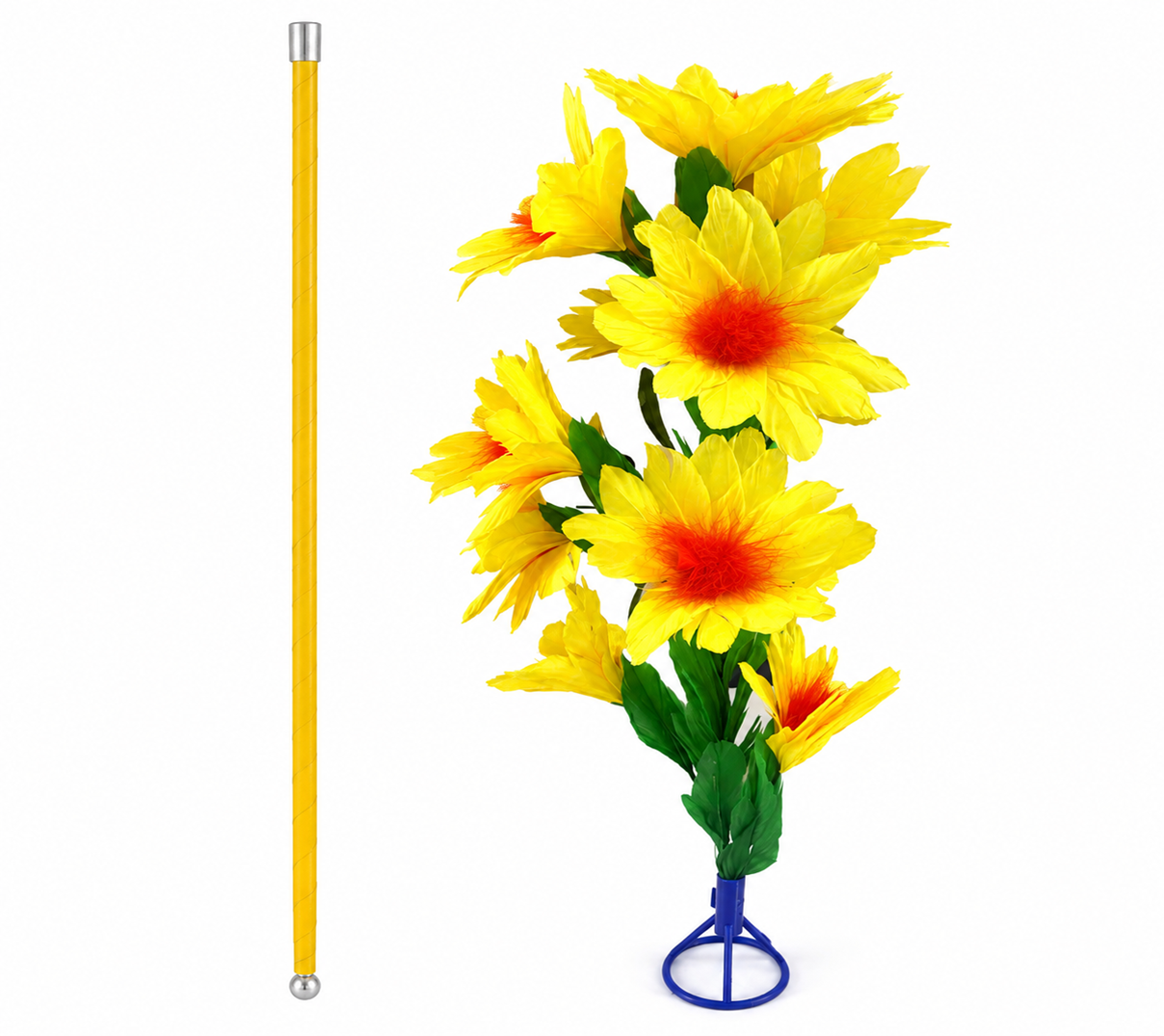 The Stick Shows 11 Big Flowers